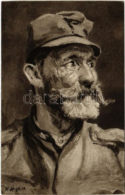 1917 WWI Austro-Hungarian K.u.K. military art postcard. W.R.B. & Co. Wien Serie Nr. 3435. s: K. Hayd + '9 cm M 4 Kanonenhalbbatterie 11/55' 'K.U.K. FELDPOSTAMT 88'