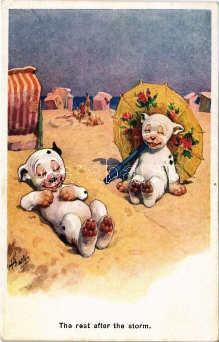 'The rest after the storm' Bonzo dog on the beach. B.K.W.I. XXXI-2. s: F. Charles (EK)
