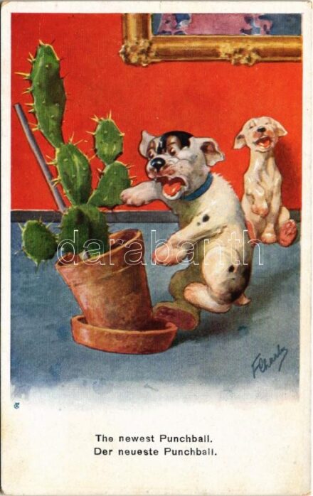 Der neueste Punchball / 'The newest punchball' Bonzo dog with cactus. B.K.W.I. XXV-2. s: F. Charles