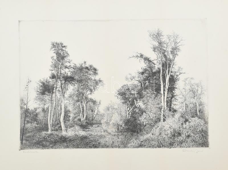 Dudás Jenő (1900-1991): Erdőszéle. Rézkarc, papír, jelzett, 29,5×43,5 cm