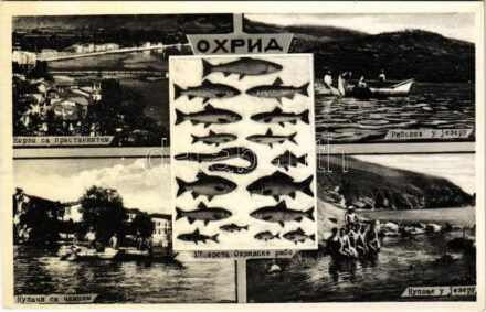 Ohrid, multi-view postcard with fish, beach, bathers