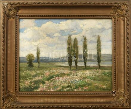 Szlányi Lajos (1869-1949): Virágos vízpart. Olaj, vászon, jelzett. Dekoratív, kissé sérült fakeretben, 32×41 cm