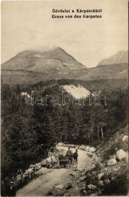 Kárpátalja, Üdvözlet a Kárpátokból! út lovaskocsival. Balázs Soma kiadása (Ungvár) / Gruss von den Karpaten / Zakarpattia Oblast / Transcarpathian road with horse-drawn carriage
