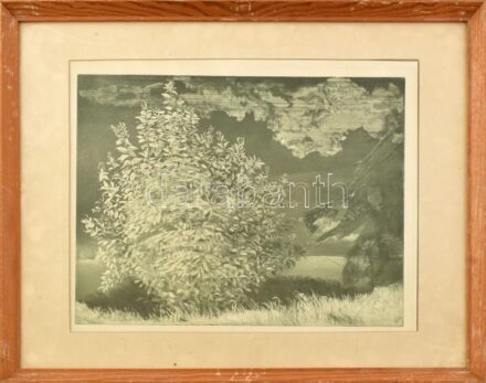 Olvashatatlan jelzéssel (paszpartu által takarva): Vihar előtt. Színes rézkarc, papír, jelzett. Üvegezett, kissé sérült fakeretben. 29×39 cm