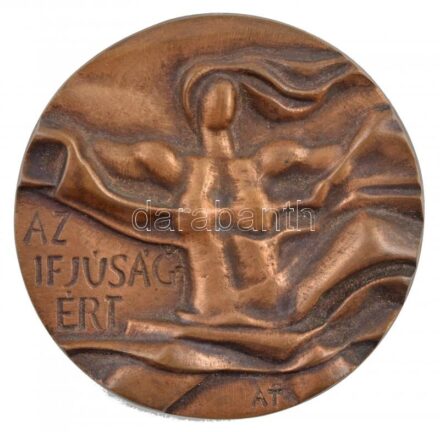 Asszonyi Tamás (1942-) DN 'Az Ifjúságért / Ifjúsági díj ÁIB (Állami Ifjúsági Bizottság)' kétoldalas Br díj plakett (76mm) T:1-