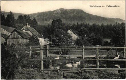 Zelezná Ruda, Bavorská Zelezná Ruda, Bayerisch Eisenstein; Waldhaus m. Falkenstein / forest house