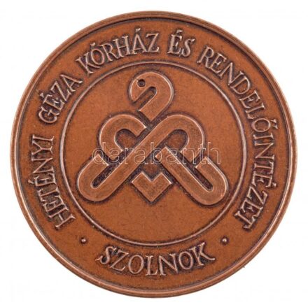 1996. 'Száz éves a Megyei Kórház / Hetényi Géza Kórház és Rendelőintézet - Szolnok' kétoldalas bronz emlékérem (42,5mm) T:1-