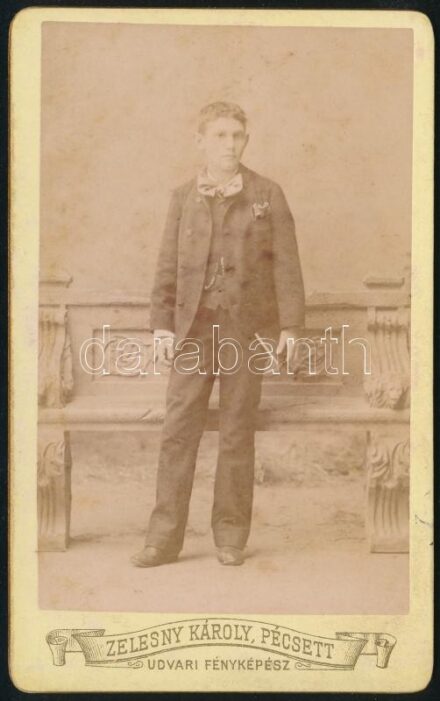 cca 1890 Fiatal fiú portréja, keményhátú fotó Zelesny Károly pécsi műterméből, 9x6 cm
