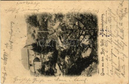 1901 Arber (Bayerischer Wald), Arberschutzhütte / chalet, shelter (fl)