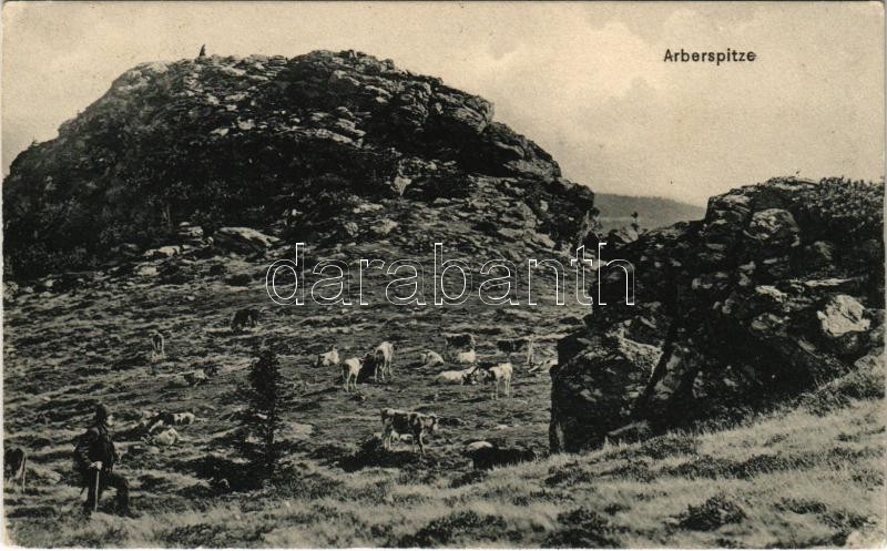 1907 Arberspitze (Bayerischer Wald), mountain peak (EK)