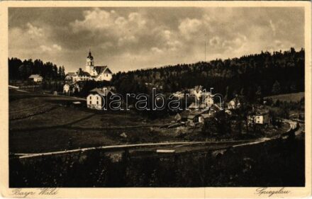 1931 Spiegelau (Bayerischer Wald), general view, railway bridge (EK)