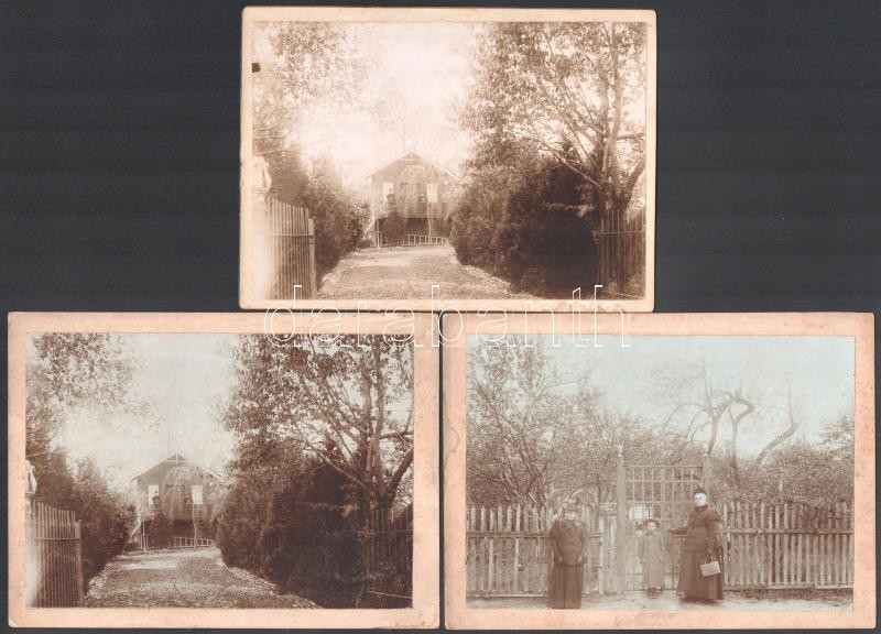 cca 1900 Vidéki nyaraló, 6 db fotó kartonra kasírozva, 12x17 cm - Image 2