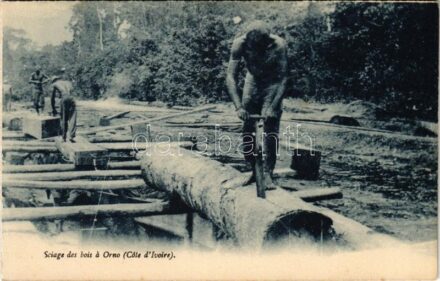 Sciage des bois a Orno (Cote d'Ivoire) / African folklore, sawing wood in Orno (from postcard booklet) (EK)
