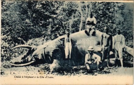 Chasse a l'éléphant a la Cote d'Ivoire / African folklore, Elephant hunting in Ivory Coast (from postcard booklet)