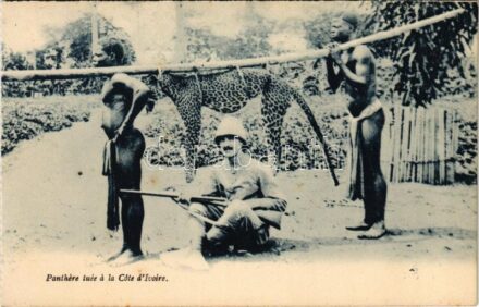 Panthere tuée a la Cote d'Ivoire / African folklore, Panther killed in Ivory Coast (from postcard booklet)
