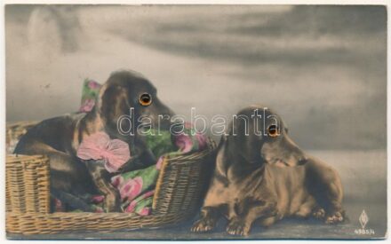 1922 Dachshund dogs. Mechanical card with moving eyes