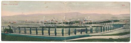 Igló, Zipser Neudorf, Spisská Nová Ves; Látkép a lőcsei út felől. Két részes kinyitható panorámalap. Dörner Gyula kiadása / view from Levoca. 2-tiled folding panoramcard (fl)