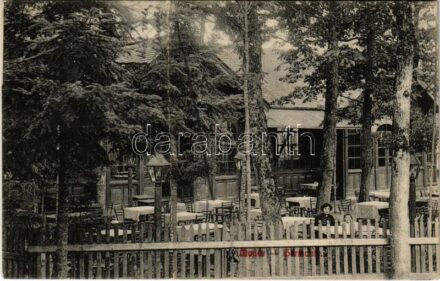 1913 Modor-Harmónia, Modra; Vendéglő kertje / restaurant garden (fa)