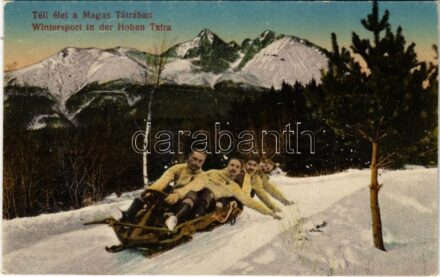 Tátra, Vysoké Tatry; Téli élet a Magas Tátrában, irányítható szánkó / winter sport, toboggan, sled, controllable bob sleigh