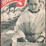 1945 Jövendő I. évf. 3., 12.,17 sz. + 1952 Béke és Szabadság képes hetilap. III. évf. 10. sz. Kopottak, közte szakadt, sérült. - Image 3