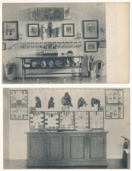 MADARAK - 8 db régi képeslap múzeumból / BIRDS - 8 pre-1945 postcards from a museum