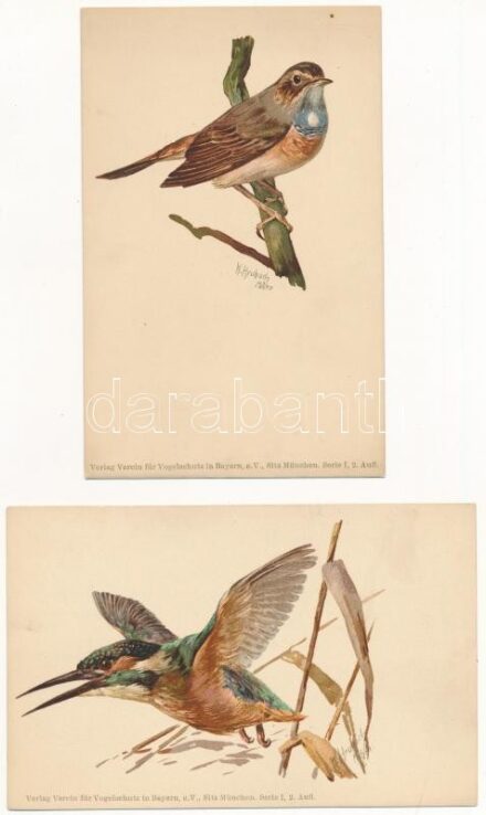 MADARAK - 7 db régi német képeslap, hátoldalon ismertető / BIRDS - 7 pre-1945 German postcards, description on the backsides (Verlag Verein für Vogelschutz in Bayern, W. Heubach)
