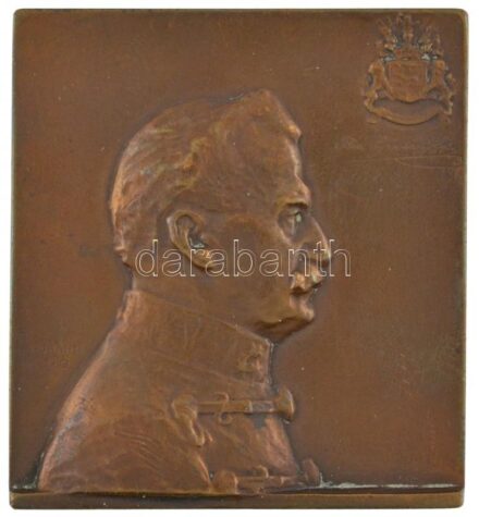Murányi Gyula (1881-1920) 1909. 'Báró Fejérváry Géza' egyoldalas Br plakett (50x54,5mm) T:2 HP 3686.