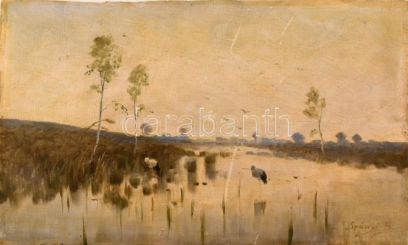 Spányi B jelzéssel. Gólyák. Olaj, vászon, kartonon. Sarkán kis sérüléssel 23x38 cm