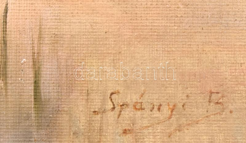 Spányi B jelzéssel. Gólyák. Olaj, vászon, kartonon. Sarkán kis sérüléssel 23x38 cm - Image 2