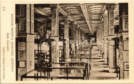 London, British Museum (Natural History), Bird Gallery (non PC)