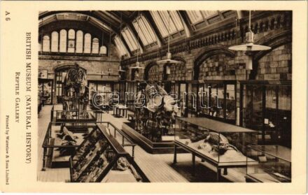 London, British Museum (Natural History), Reptile Gallery