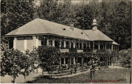 1909 Szovátafürdő, Baile Sovata; Bercsényi szálloda. Erdélyi Simon kiadása / hotel + 'SÓVÁRAD - BALÁZSFALVA 266. SZ.' vasúti mozgóposta bélyegző
