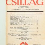 1941 Magyar Csillag szerk: Illyés Gyula. 240 p. X., XI., XII. évfolyamok bekötve. Modern egészvászon kötésben