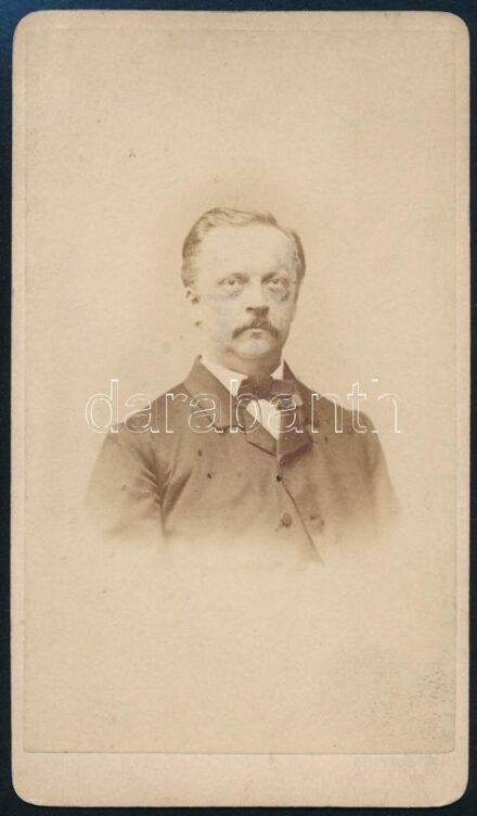 Hermann Ludwig von Helmholtz (1821-1894) német orvos és fizikus, keményhátú fotó, 10,5×6,5 cm