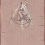 Tamási T. Jelzéssel: Telivér, lófej, London. Vegyestechnika, papír, szélén sérülésekkel, 38x29cm
