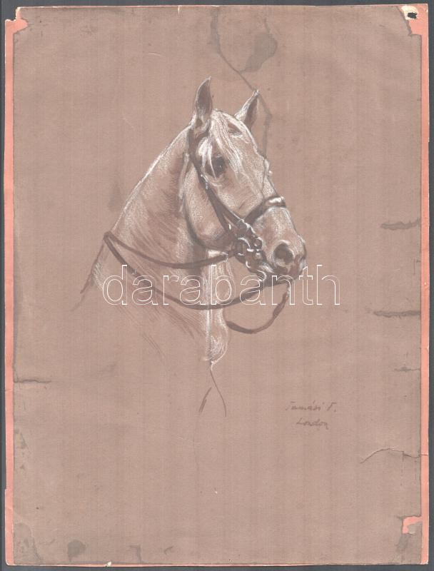 Tamási T. Jelzéssel: Telivér, lófej, London. Vegyestechnika, papír, szélén sérülésekkel, 38x29cm