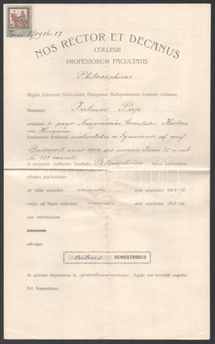 1916 Egyetemi bizonyítvány rektori és dékáni aláírással