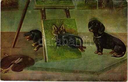 Dachshund dogs. WSSB 6913/2. s: Müller