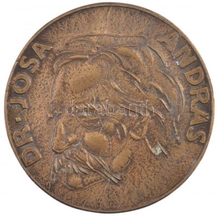 Fritz Mihály (1947-) DN 'Dr. Jósa András' kétoldalas bronz emlékplakett (60mm) T:2 patina
