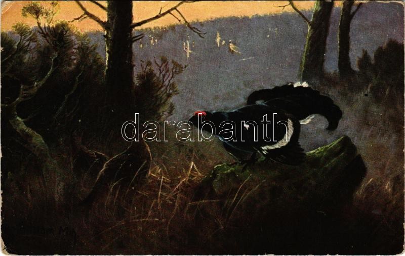 Hunting art postcard, birds. 'ERIKA' Nr. 3699. artist signed (EK)