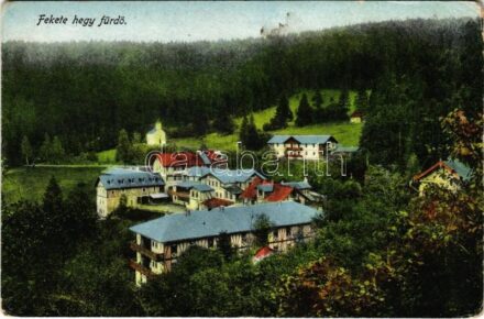 Feketehegyfürdő, Feketehegy, Cernohorské kúpele (Merény, Vondrisel, Nálepkovo); nyaralók / spas, villas (kopott sarkak / worn corners)