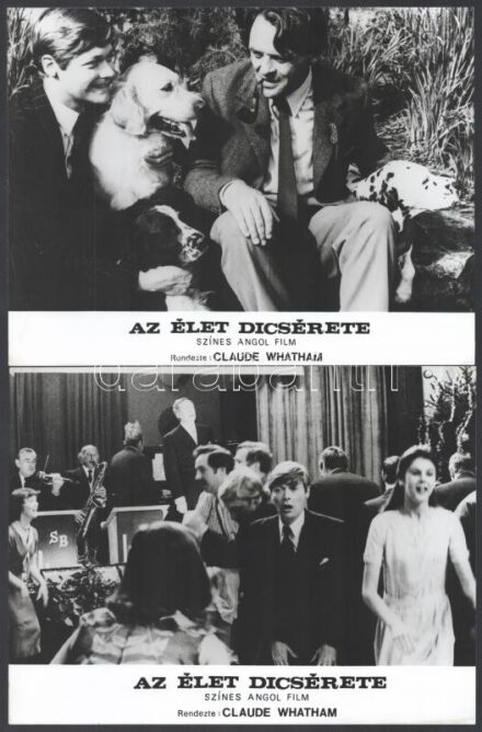 cca 1975 előtti ,,Az élet dicsérete' című angol film jelenetei és szereplői, 13 db vintage produkciós filmfotó, ezüst zselatinos fotópapíron, a használatból eredő kisebb hibákkal, 18x24 cm