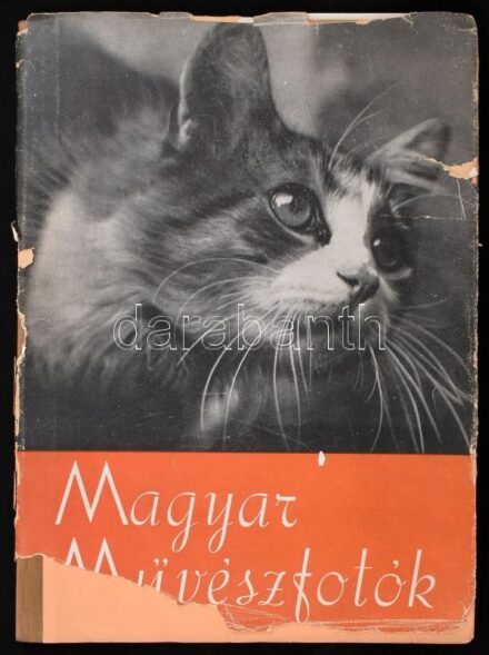 Magyar művész-fotók. Szerk.: Kankowszky Tamás. Bp.-New York, 1946, Dr. Vajna György és Társa-Transatlantic Arts. (Bp., Posner-ny.), 96 p. Gazdag egészoldalas, fekete-fehér képanyaggal. Kiadói félvászon-kötés, sérült, kissé