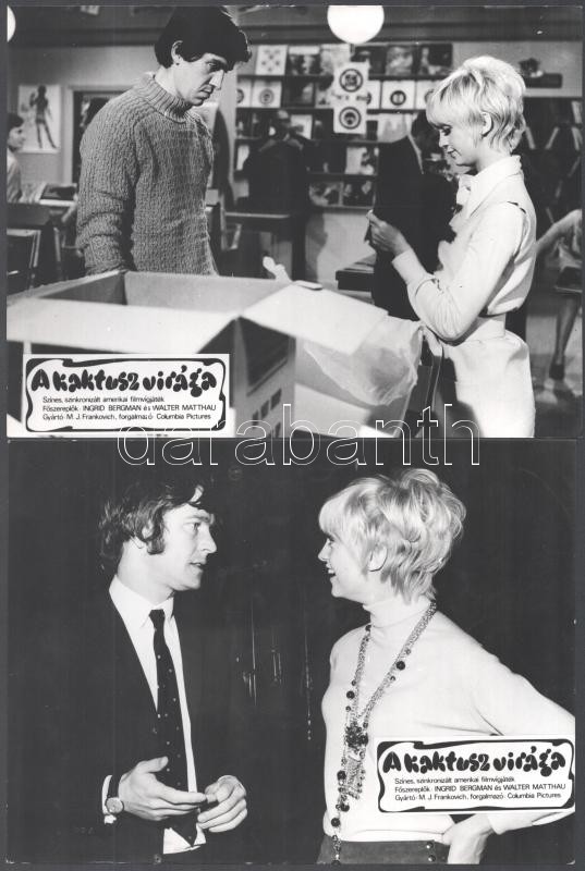 1969 ,,A kaktusz virága' című amerikai film jelenetei és szereplői (köztük Ingrid Bergman, Walter Matthau), 7 db vintage produkciós filmfotó (a használatból eredő kisebb hibákkal), ezüst zselatinos fotópapíron, 18x24 cm - Image 2