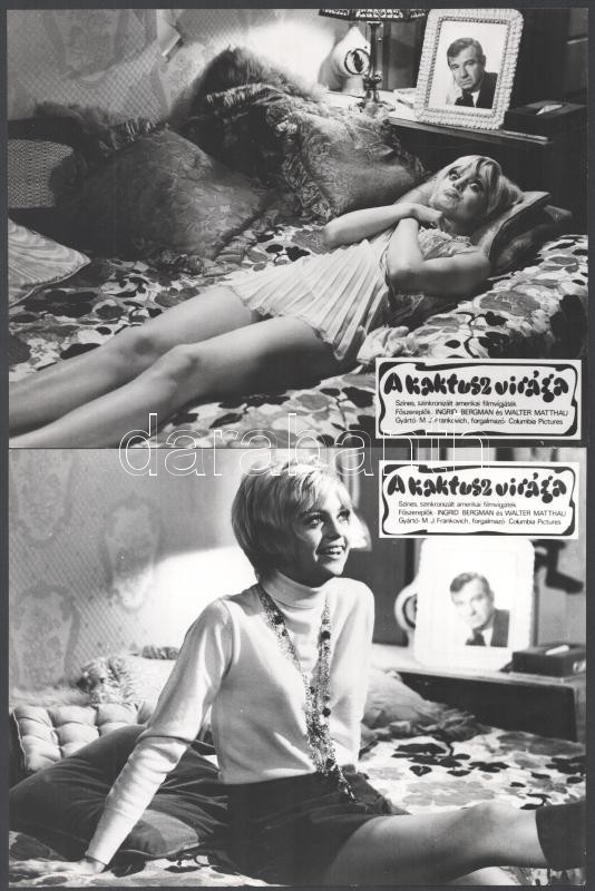 1969 ,,A kaktusz virága' című amerikai film jelenetei és szereplői (köztük Ingrid Bergman, Walter Matthau), 7 db vintage produkciós filmfotó (a használatból eredő kisebb hibákkal), ezüst zselatinos fotópapíron, 18x24 cm - Image 3