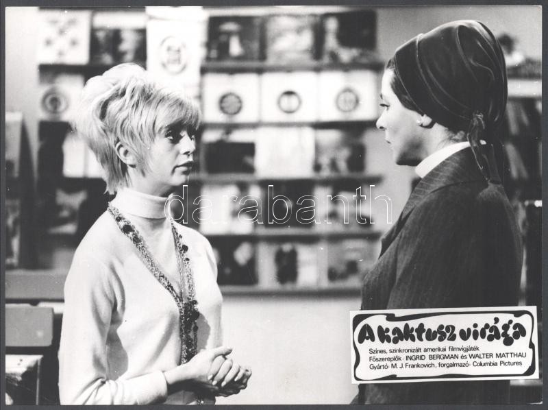 1969 ,,A kaktusz virága' című amerikai film jelenetei és szereplői (köztük Ingrid Bergman, Walter Matthau), 7 db vintage produkciós filmfotó (a használatból eredő kisebb hibákkal), ezüst zselatinos fotópapíron, 18x24 cm - Image 4