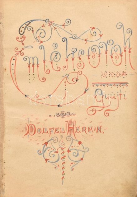 Cca. 1888 Emlékalbum. Dolfel Hermin névvel, rajzokkal, versekkel, viseletes állapotban, 21x15cm