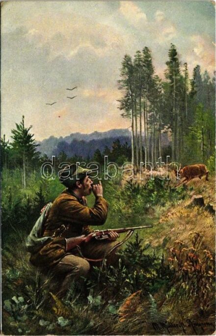 Hunter art postcard. 'ERIKA' Nr. 2663. s: M. Müller (EK)