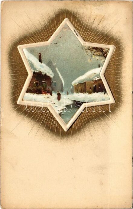 1911 Weihnachtsstern / Christmas greeting art postcard. Emb. litho (fl)