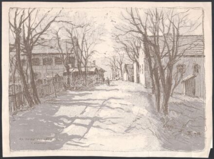 1918 Tikáts Adolf (1872-?) Bp. V. (XIII.) Vizafogó, Lepsi negyed. Lithográfia. Papír. 21x26 cm